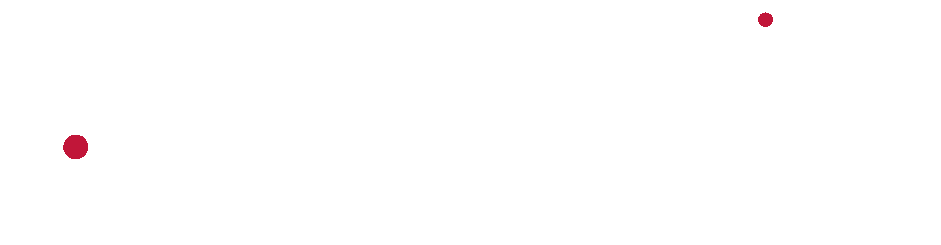 ANIDA · 25 años